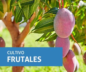 Frutales